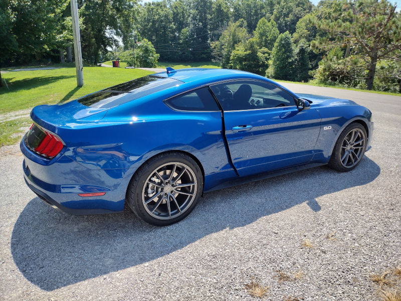 Mustang