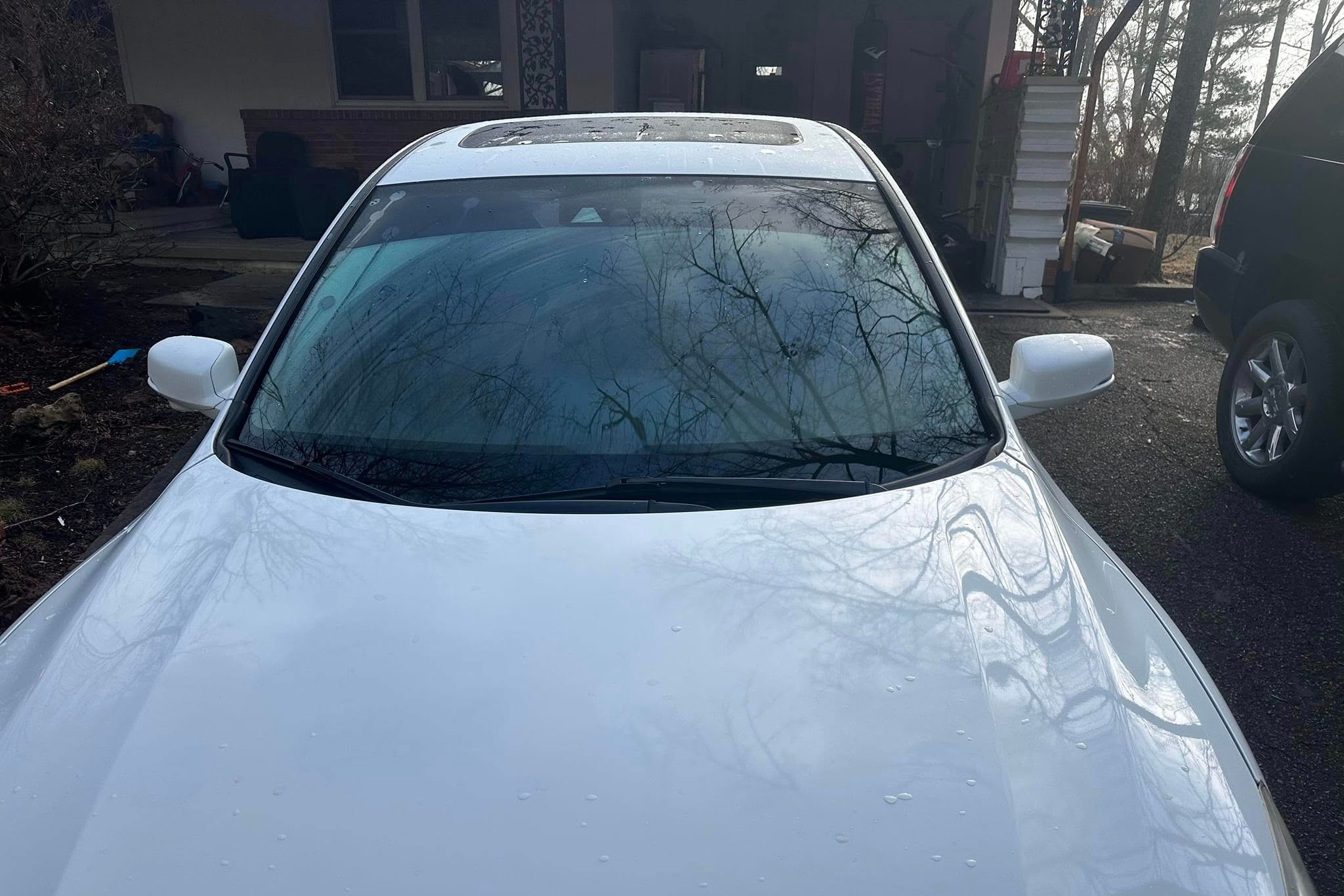 Window Tinting